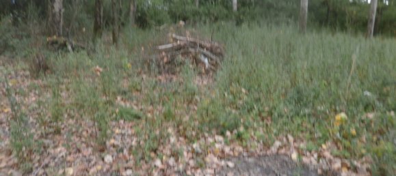 Земельный участок в Сен-Жорж-сюр-ла-Пре, Франция № 100419 7