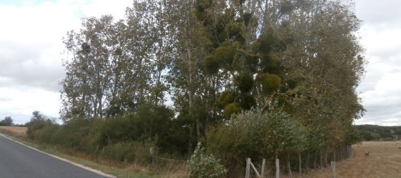 Земельный участок в Сен-Жорж-сюр-ла-Пре, Франция № 100419 4