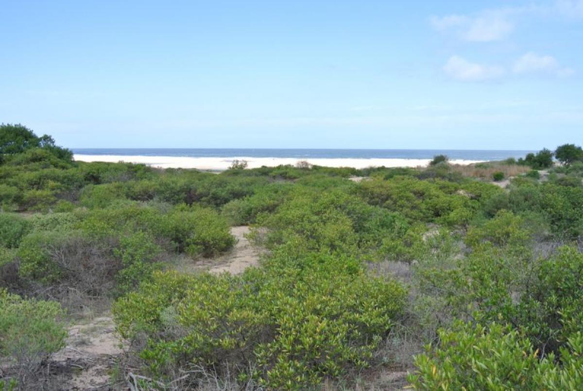 Grundstück in Maldonado, Uruguay, Nr. 14411