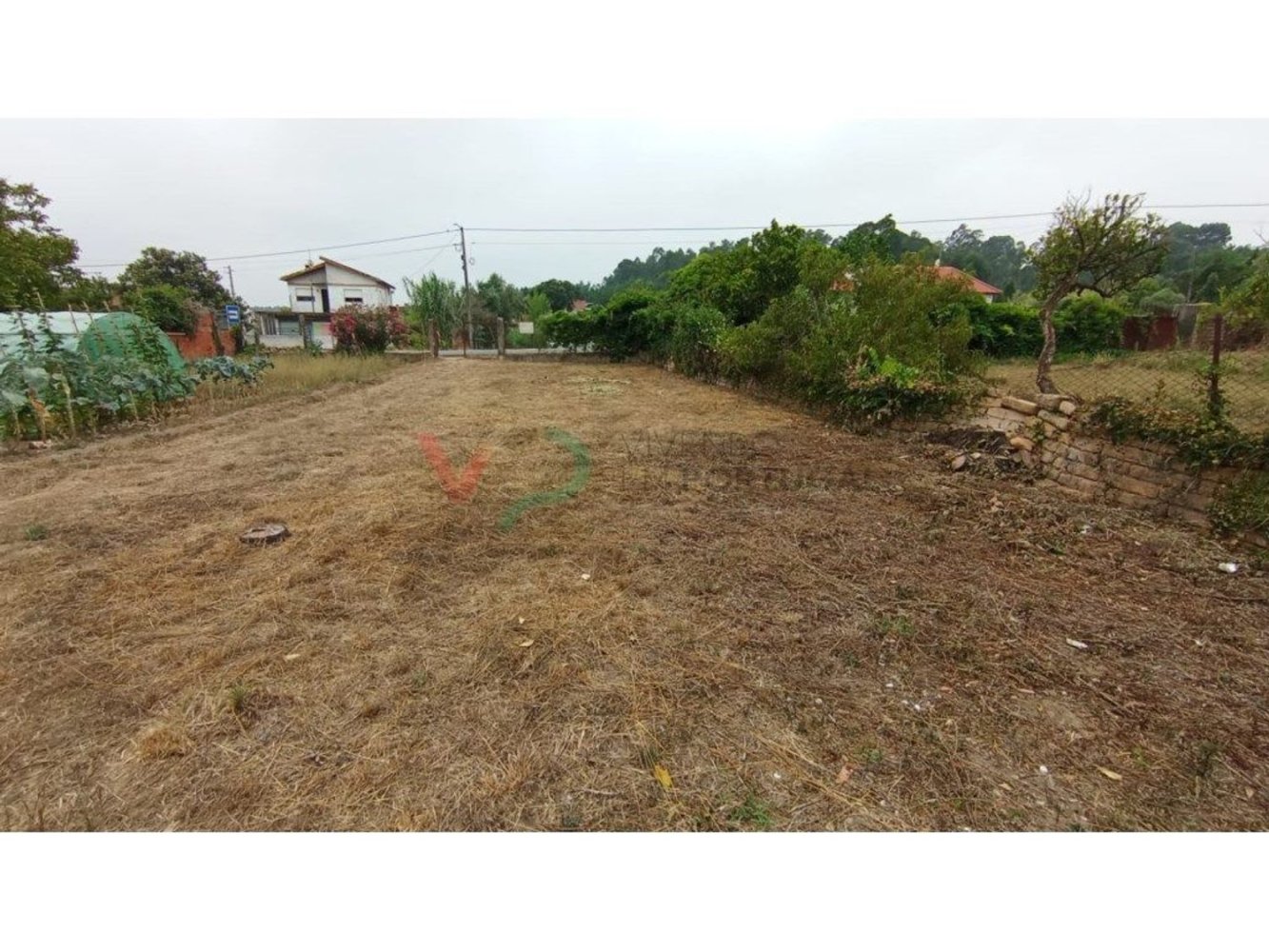  Land in Oia, Portugal No. 243741