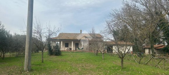 4 bedrooms Villa in Torgiano, Italy No. 309913 20