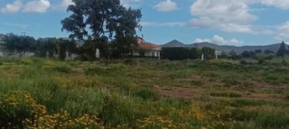 Hotel in Anavyssos, Greece 768m², Nr. 53229 4