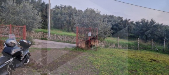 1-Zimmer Grundstück in Ciampino, Italy, Nr. 20539 7