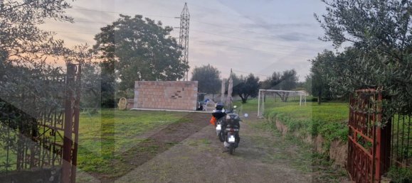 1-Zimmer Grundstück in Ciampino, Italy, Nr. 20539 21