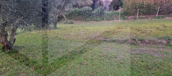 1-Zimmer Grundstück in Ciampino, Italy, Nr. 20539 24