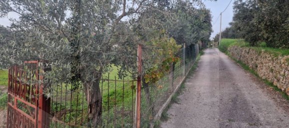 1-Zimmer Grundstück in Ciampino, Italy, Nr. 20539 3