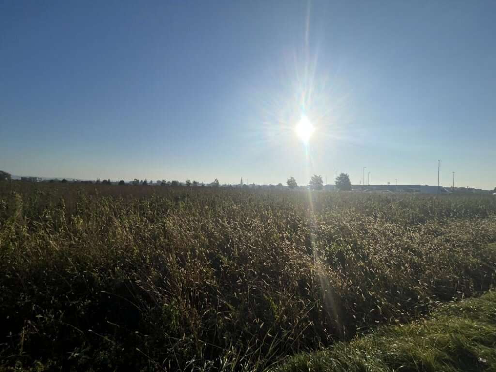 Bureau à Seiersberg-Pirka, Austria No. 102522