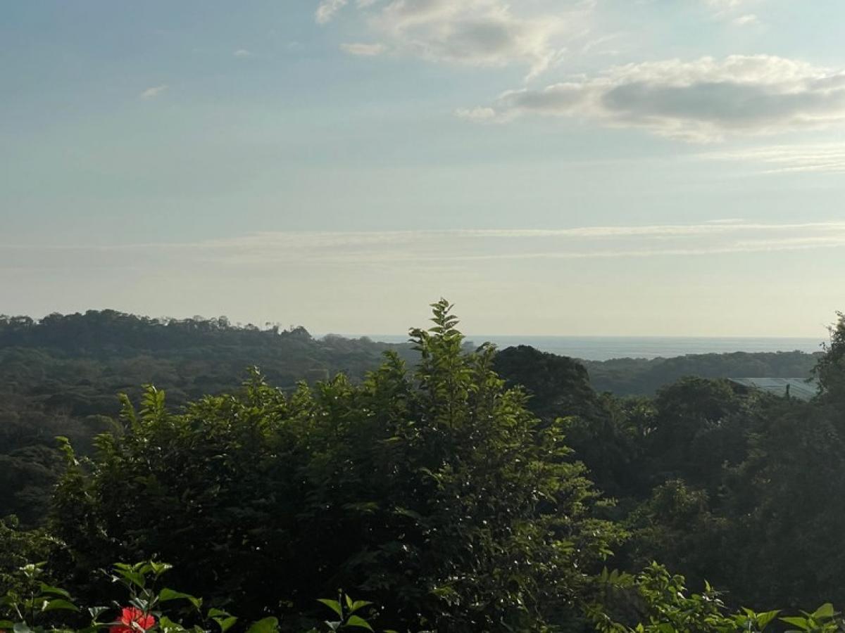 10 غرف نوم منزل في Nicoya, Costa Rica رقم 342