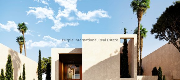 Villa de 4 dormitorios en Geroskípou, Cyprus No. 1081 11