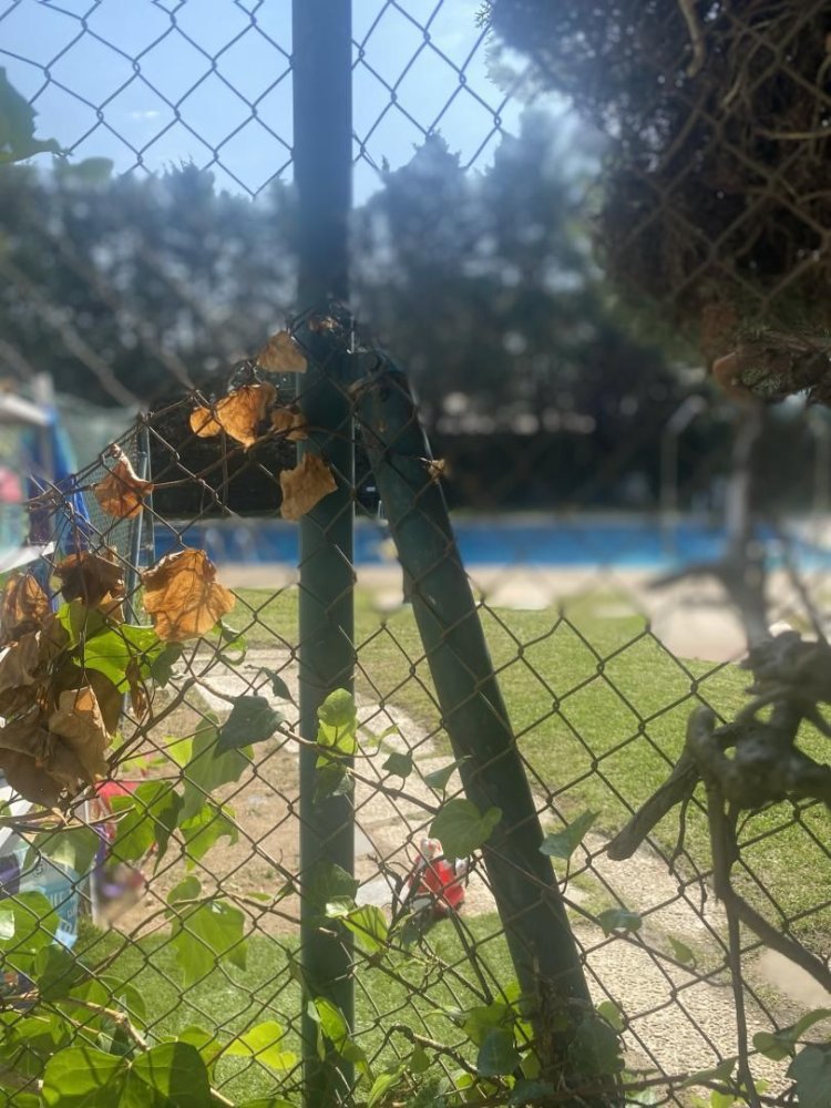 3 Schlafzimmer Wohnung in Moralzarzal, Spain, Nr. 187178