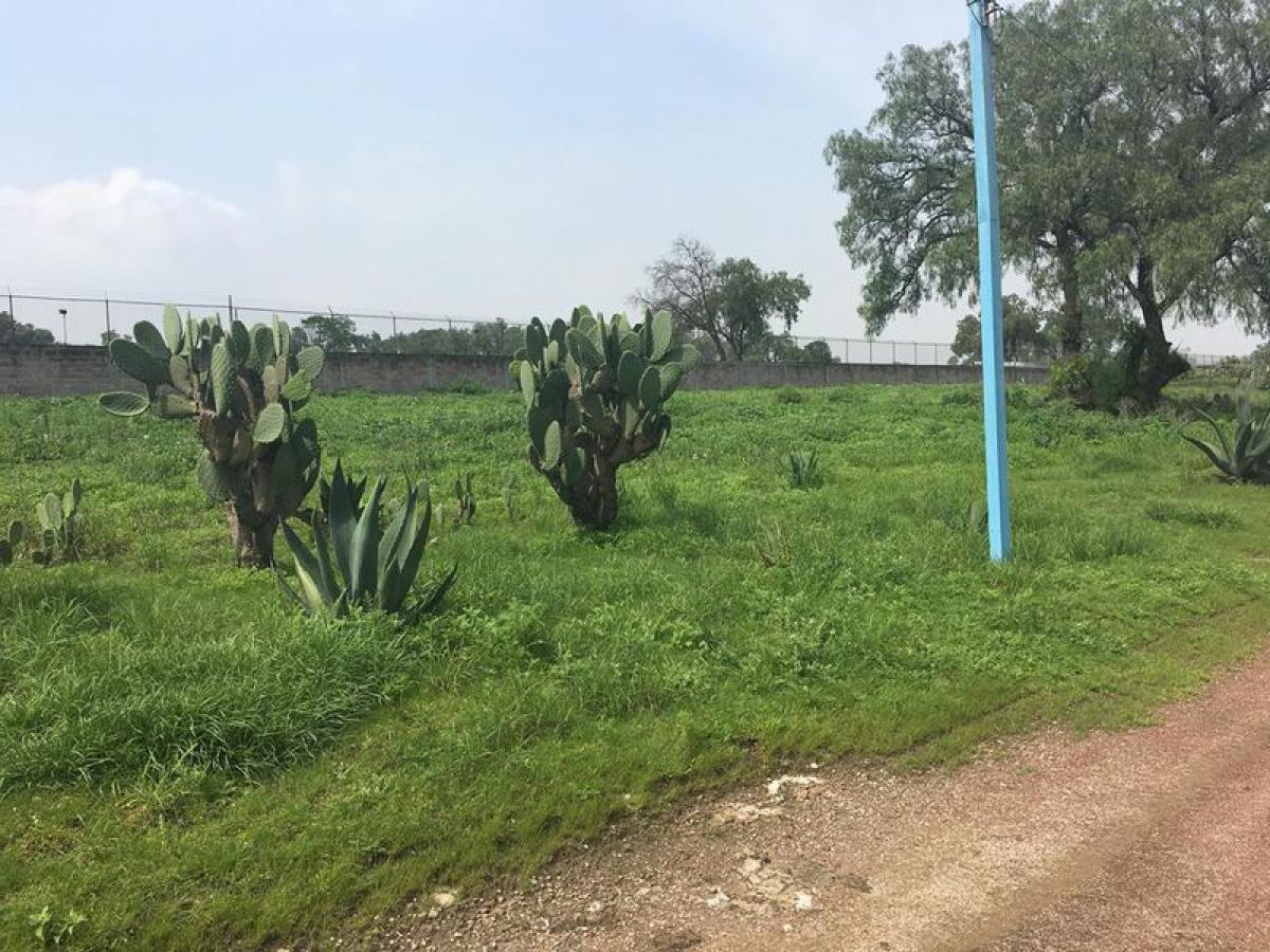 Grundstück in Zumpango, Mexico, Nr. 206489