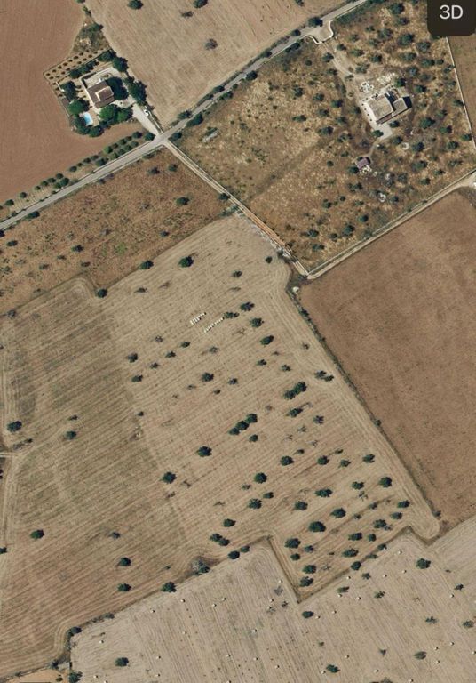  Land in Campos, Spain No. 242096