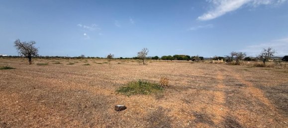  Land in Campos, Spain No. 242096 5