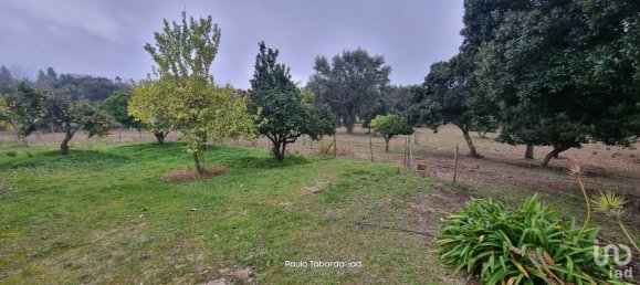 5 bedrooms House in Portalegre, Portugal No. 123139 20