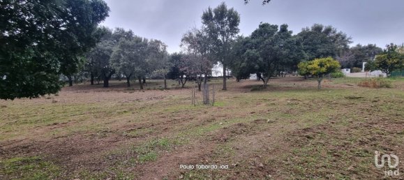 5 bedrooms House in Portalegre, Portugal No. 123139 7