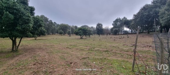 5 bedrooms House in Portalegre, Portugal No. 123139 11