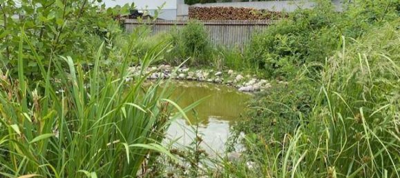 2 bedrooms Bungalow in Grosspetersdorf, Austria No. 170261 12