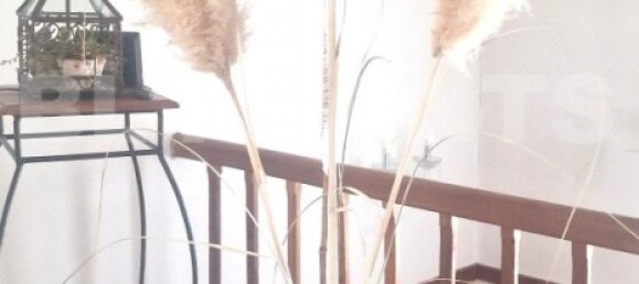 5 bedrooms House in Castelsarrasin, France No. 340370 10