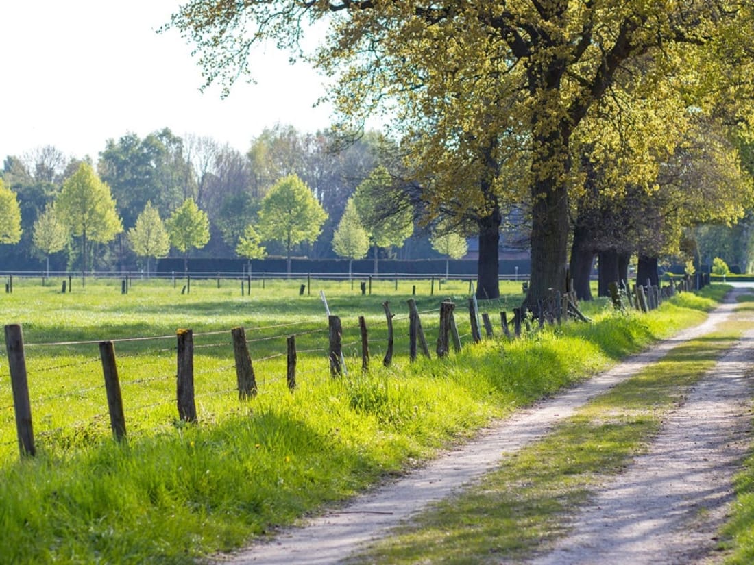 Edifício em Havelland, Germany 900 m² N.º 69936