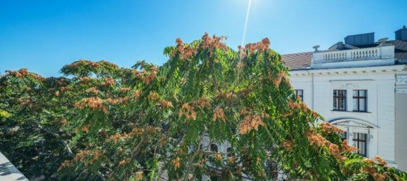 Дуплекс с 3 комнатами в Виден, Австрия № 247049 13