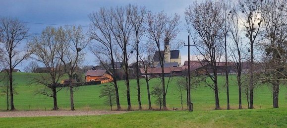  قطعة أرض في Berndorf bei Salzburg, Austria رقم 165233 2