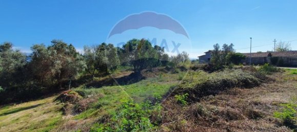 240m² Land in Nelas, Portugal No. 39390 3