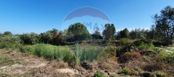 240m² Land in Nelas, Portugal No. 39390 7