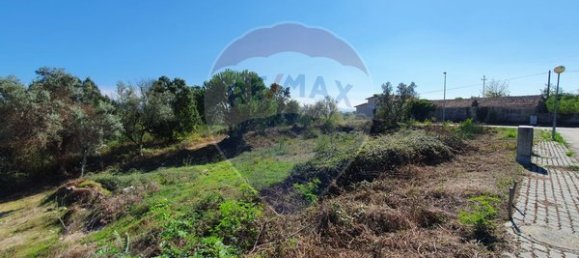 240m² Land in Nelas, Portugal No. 39390 4