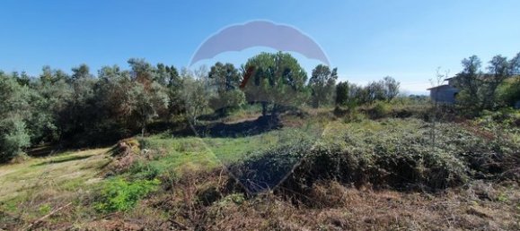 240m² Land in Nelas, Portugal No. 39390 5