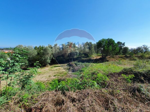 240m² Land in Nelas, Portugal No. 39390