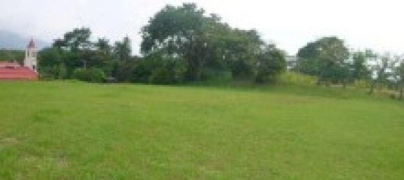 Grundstück in San Antonio, Costa Rica, Nr. 1925 6