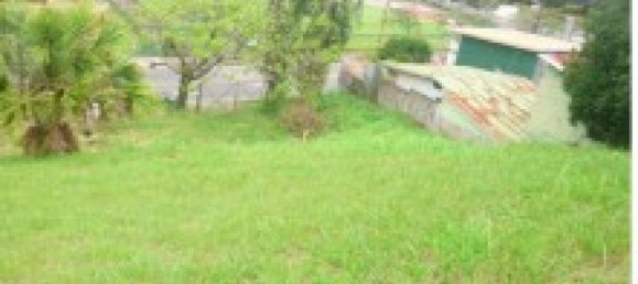 Grundstück in San Antonio, Costa Rica, Nr. 1925 3