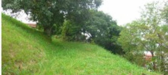 Grundstück in San Antonio, Costa Rica, Nr. 1925 2