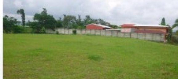 Grundstück in San Antonio, Costa Rica, Nr. 1925 5