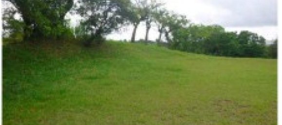 Grundstück in San Antonio, Costa Rica, Nr. 1925 4