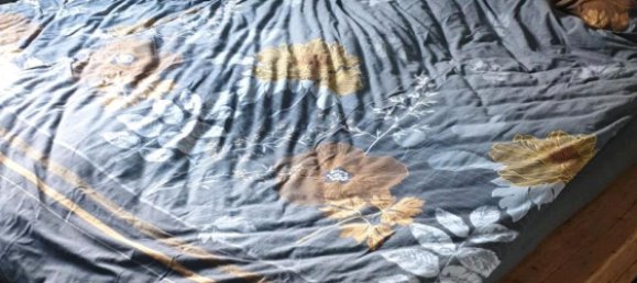 3 bedrooms Farm in Markischer, Germany No. 307966 10