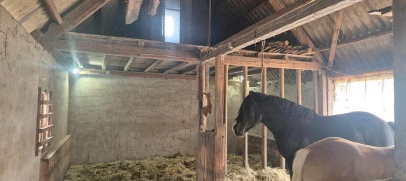 3 bedrooms Farm in Markischer, Germany No. 307966 9