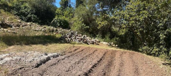 2 غرف نوم منزل في Palazzolo Acreide, Italy رقم 341766 14