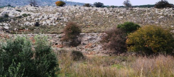 8500m² Hotel in Rethymno, Greece No. 6510 5