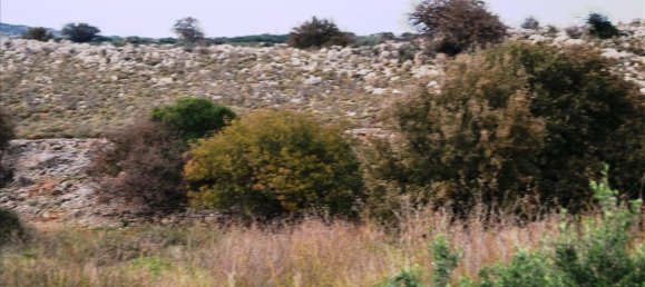 8500m² Hotel in Rethymno, Greece No. 6510 4