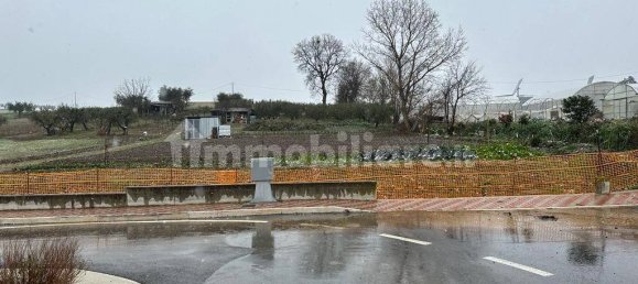 Terreno en Morro d'Oro, Italy 1000 m² No. 152963 3