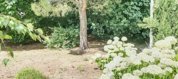 4 bedrooms House in Saint-Rogatien, France No. 290495 16