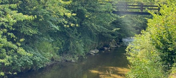 9-Zimmer Villa in Altenmarkt an der Triesting, Austria, Nr. 109305 3