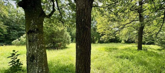 9-Zimmer Villa in Altenmarkt an der Triesting, Austria, Nr. 109305 9