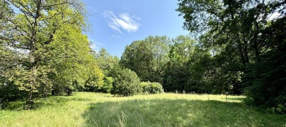 9-Zimmer Villa in Altenmarkt an der Triesting, Austria, Nr. 109305 8