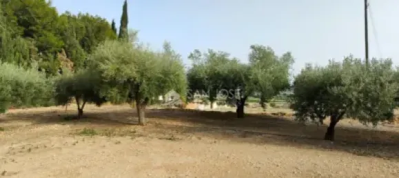 Grundstück in Aspe, Spain 85m², Nr. 98195 8