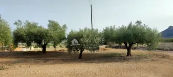 Grundstück in Aspe, Spain 85m², Nr. 98195 15