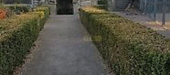 20 bedrooms House in Abrunhosa a Velha, Portugal No. 41399 4