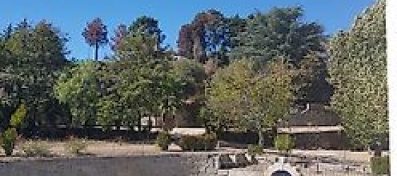 20 bedrooms House in Abrunhosa a Velha, Portugal No. 41399 10