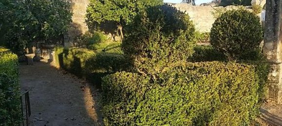 20 bedrooms House in Abrunhosa a Velha, Portugal No. 41399 36